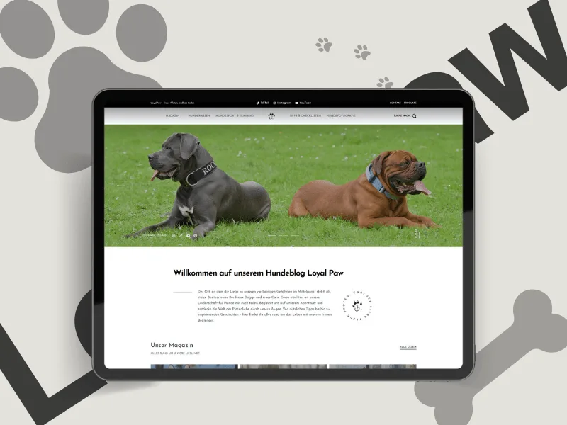 LoyalPaw – Webdesign